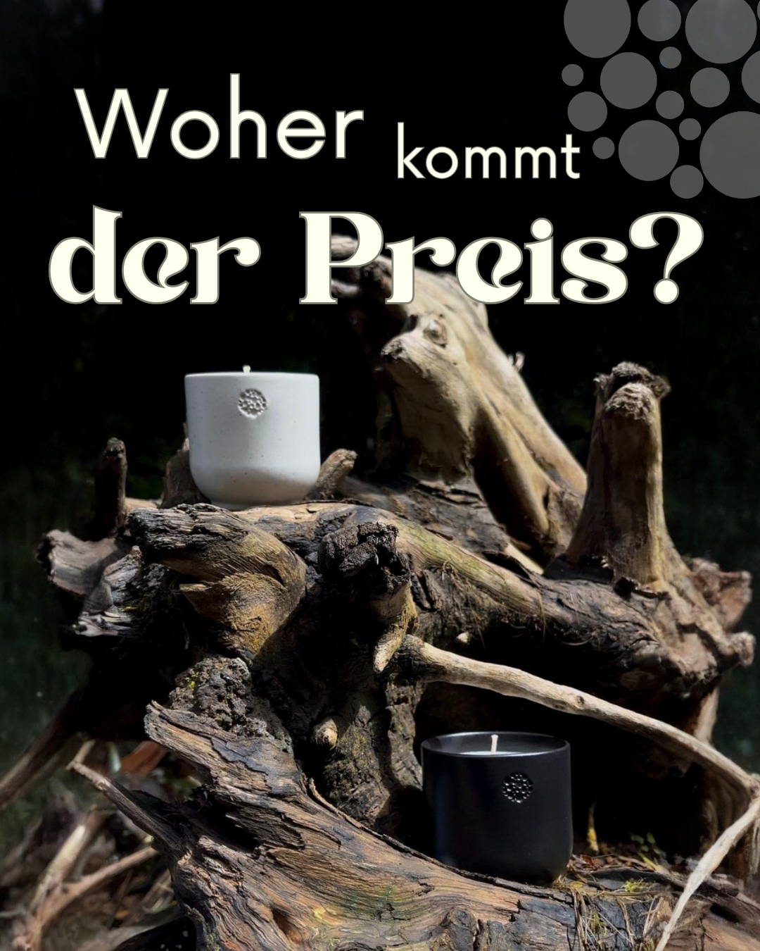Kleine Vorschau eines Instagramposts mit der Überschrift "Woher kommt der Preis?". Darunter sind zwei Kerzen dekorativ in einem Ast platziert.