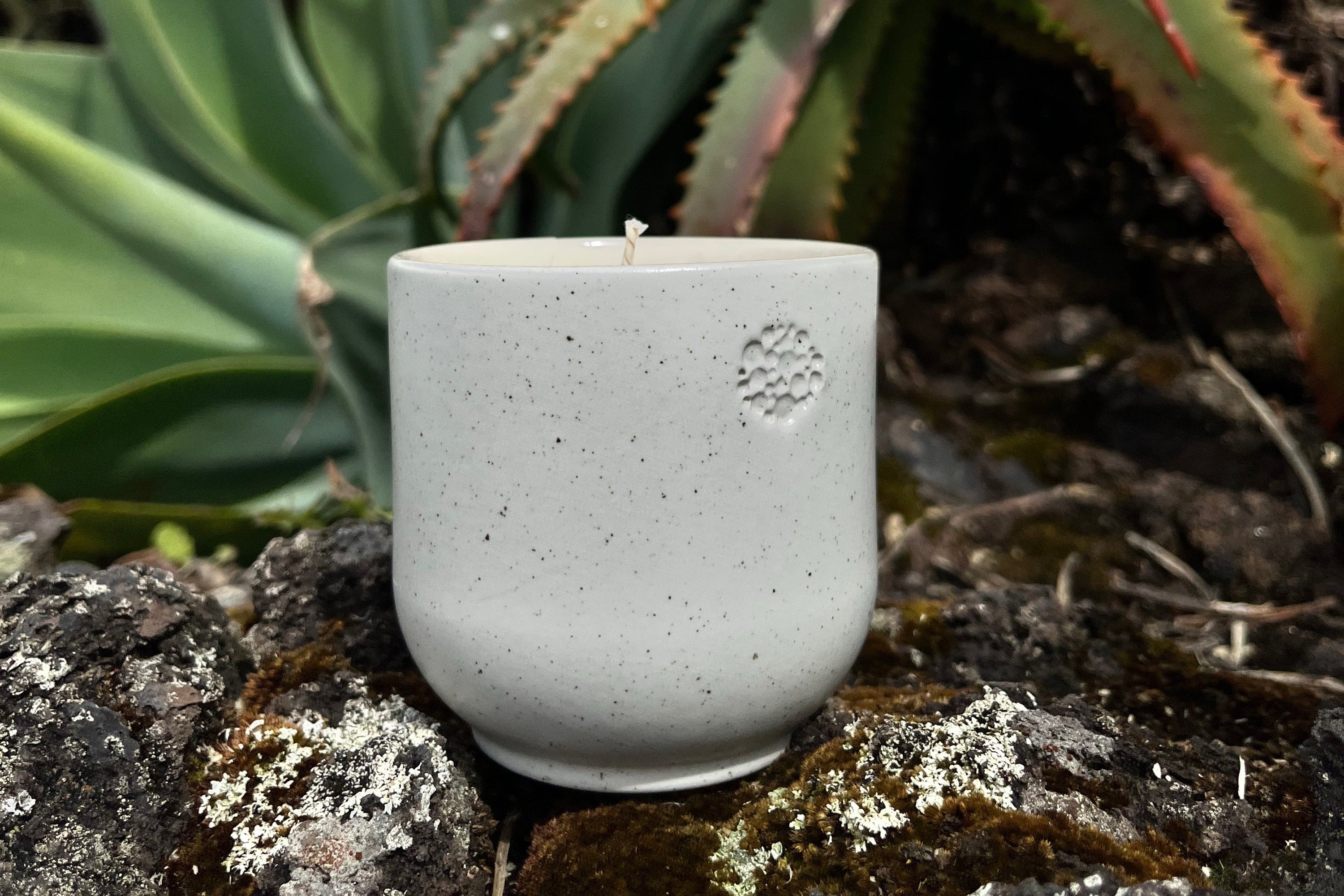 Auf einem dunklen, großporigen Gestein steht eine beige Kerze mit kleinen Punkten aus Rost. Das incalor Logo, das eingedruckt worden ist, ist rechts auf der Kerze zu sehen. Im Hintergrund sind große Aloe Vera Pflanzen zu sehen.