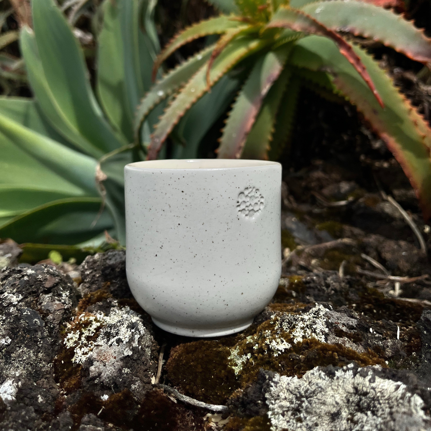 Gefäß aus beiger Keramik (Farbton sahara) mit eingestanztem incalor-Logo, stilvoll platziert auf Naturstein mit grünen Pflanzen im Hintergrund – hochwertiges Design für modernes, minimalistisches Wohnen.