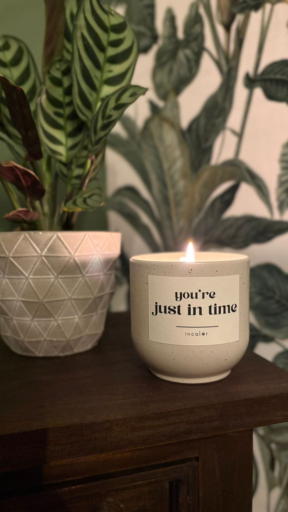 Eine beige, brennende Kerze mit dem Etikett "You're just in time" steht auf einem dunkelbraunen Holztisch. Neben der Kerze ist eine Topfpflanze in einem grauen Übertopf. Im Hintergrund ist eine Motivtapete mit grünen Pflanzen auf weißem Untergrund zu sehen. 