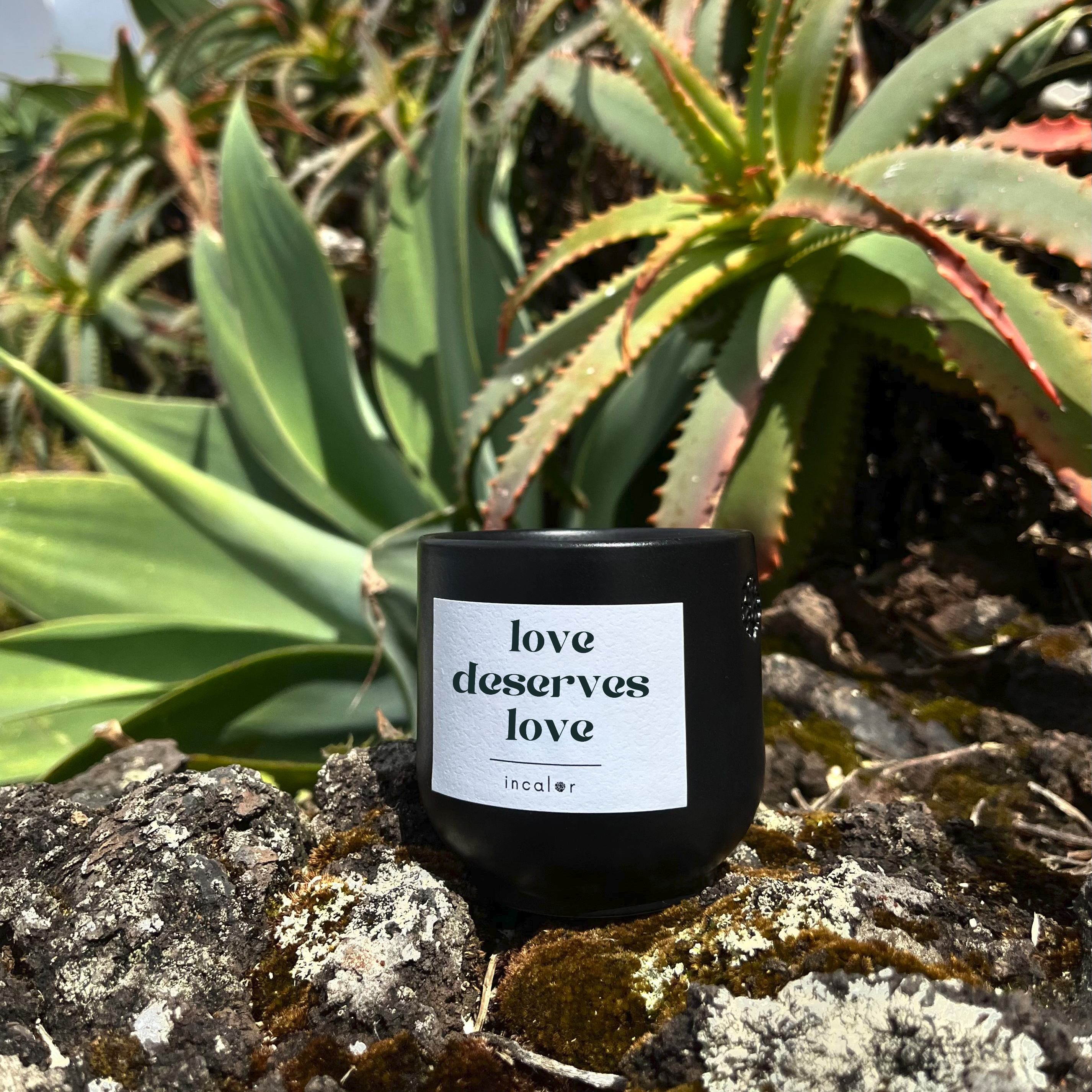 Kerze aus dunkler Keramik (Farbton basalt) mit Label der Affirmation "love deserves love.", stilvoll platziert auf Naturstein mit grünen Pflanzen im Hintergrund – hochwertige Designkerze für modernes, minimalistisches Wohndesign.